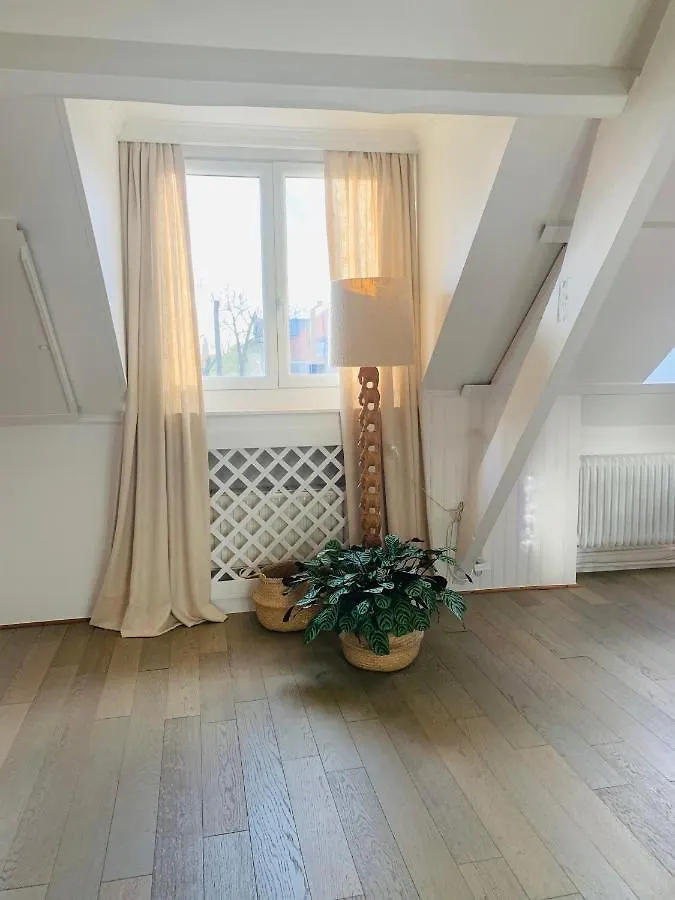 Maison D'Artiste Гент